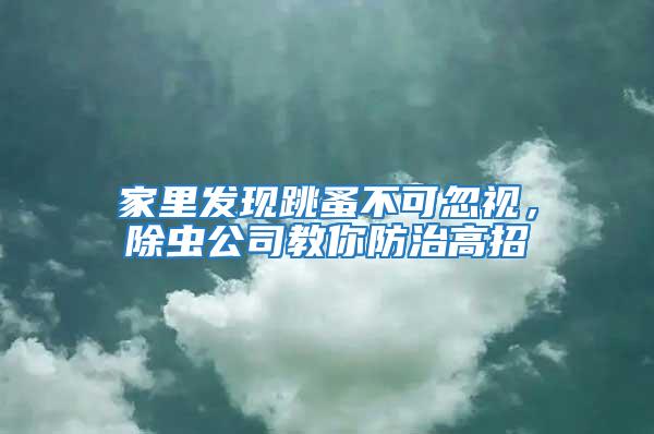 家里發現跳蚤不可忽視，除蟲公司教你防治高招
