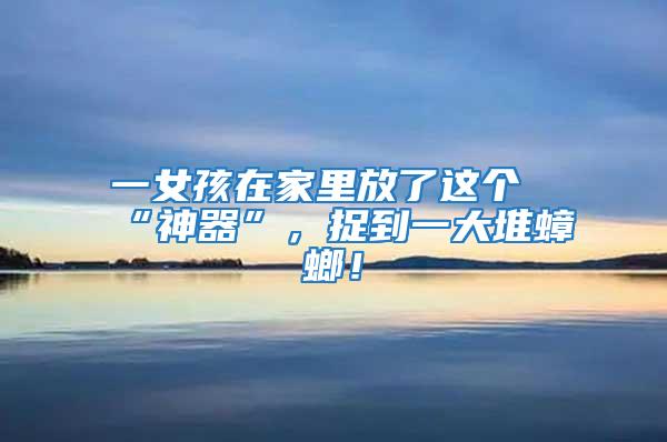 一女孩在家里放了這個“神器”，捉到一大堆蟑螂！