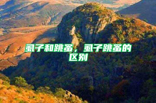 虱子和跳蚤，虱子跳蚤的區別