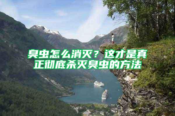 臭蟲(chóng)怎么消滅？這才是真正徹底殺滅臭蟲(chóng)的方法