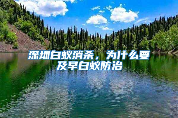深圳白蟻消殺，為什么要及早白蟻防治