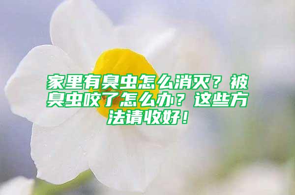 家里有臭蟲怎么消滅？被臭蟲咬了怎么辦？這些方法請收好！