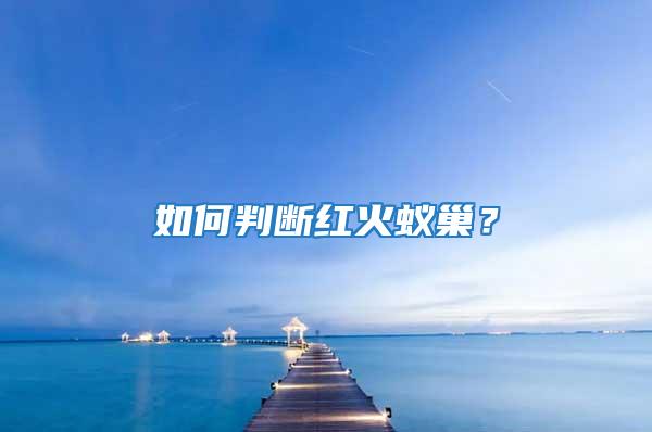 如何判斷紅火蟻巢？