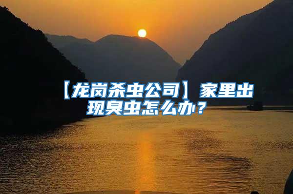 【龍崗殺蟲公司】家里出現臭蟲怎么辦？