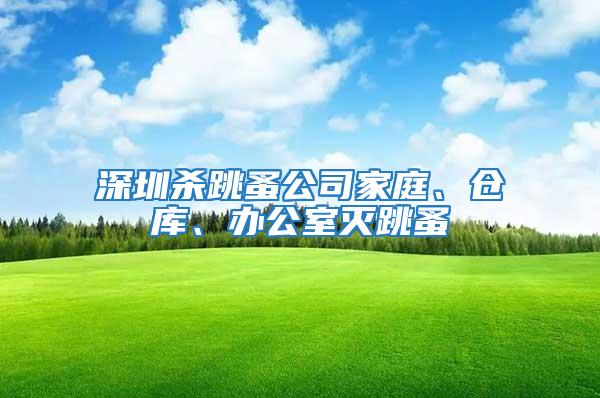 深圳殺跳蚤公司家庭、倉(cāng)庫(kù)、辦公室滅跳蚤
