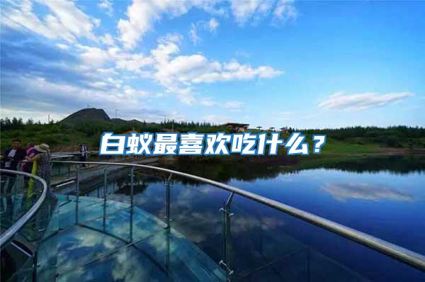 白蟻最喜歡吃什么？