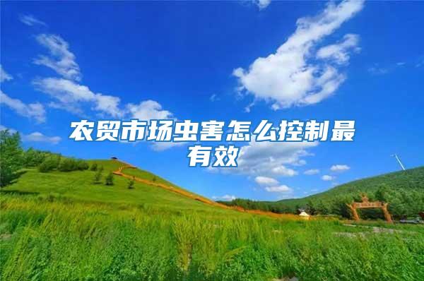 農(nóng)貿(mào)市場(chǎng)蟲(chóng)害怎么控制最有效