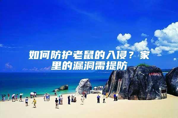 如何防護老鼠的入侵？家里的漏洞需提防