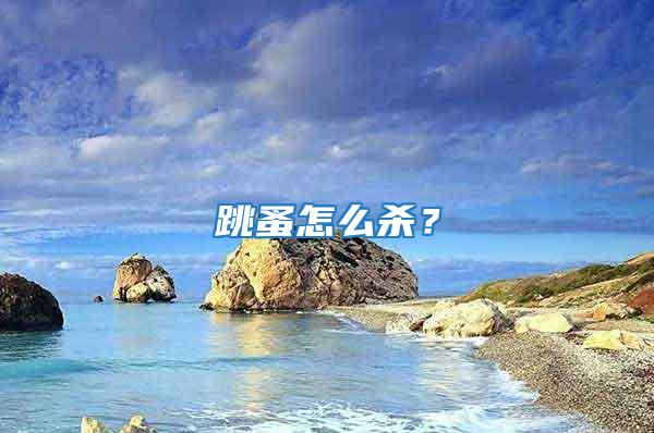 跳蚤怎么殺？