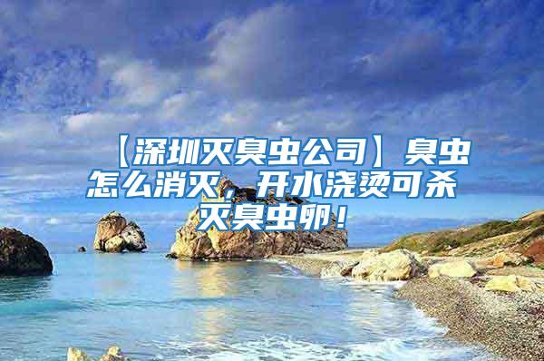 【深圳滅臭蟲公司】臭蟲怎么消滅，開水澆燙可殺滅臭蟲卵！