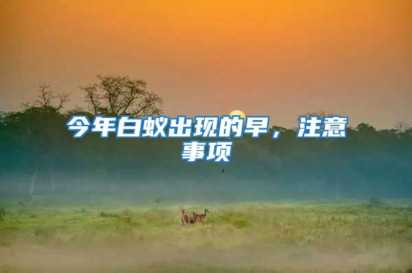 今年白蟻出現的早，注意事項