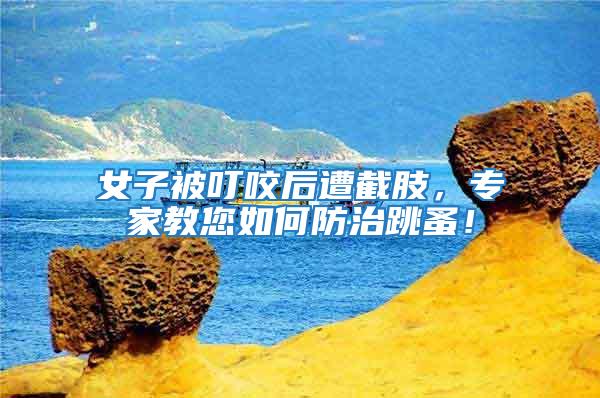 女子被叮咬后遭截肢，專家教您如何防治跳蚤！