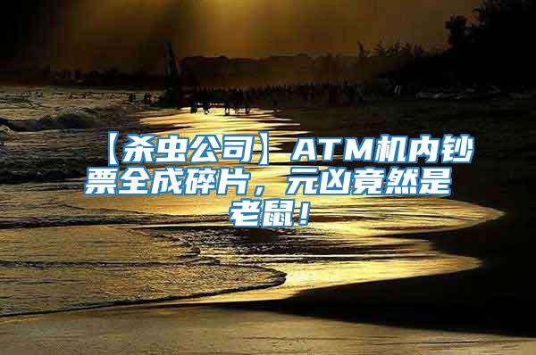 【殺蟲公司】ATM機(jī)內(nèi)鈔票全成碎片，元兇竟然是老鼠！