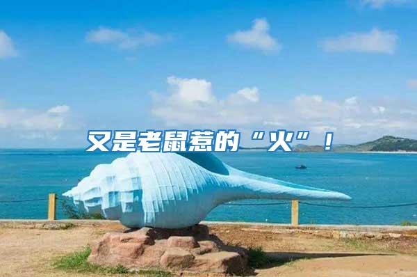 又是老鼠惹的“火”！