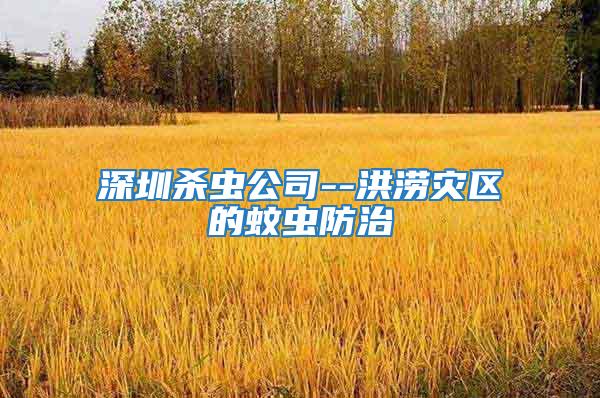 深圳殺蟲公司--洪澇災區的蚊蟲防治