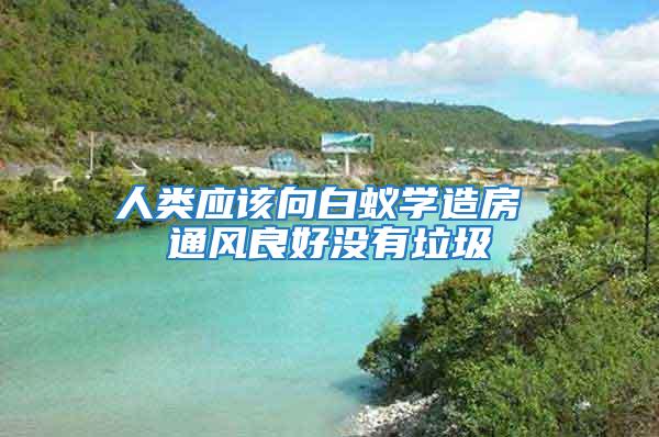 人類(lèi)應(yīng)該向白蟻學(xué)造房 通風(fēng)良好沒(méi)有垃圾