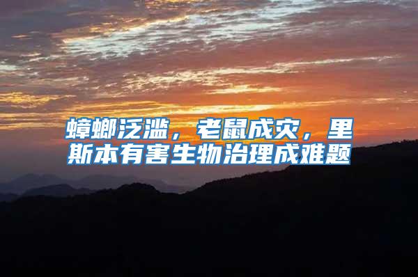 蟑螂泛濫，老鼠成災，里斯本有害生物治理成難題