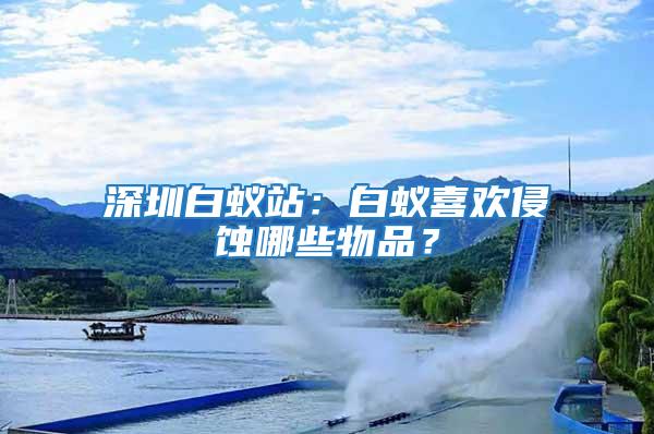 深圳白蟻站：白蟻喜歡侵蝕哪些物品？