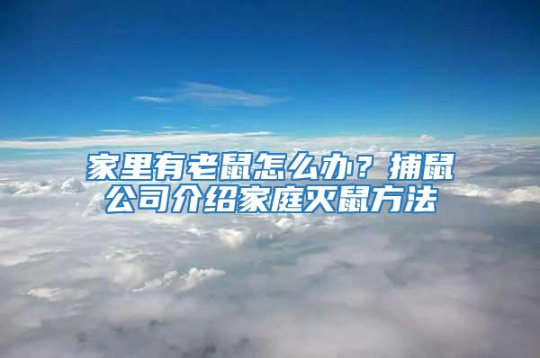 家里有老鼠怎么辦？捕鼠公司介紹家庭滅鼠方法
