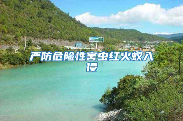 嚴(yán)防危險(xiǎn)性害蟲(chóng)紅火蟻入侵