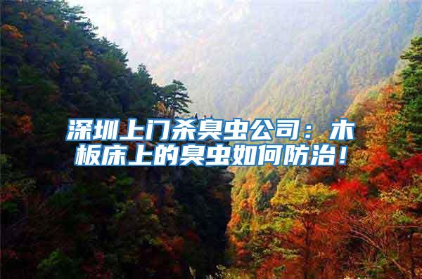 深圳上門殺臭蟲公司：木板床上的臭蟲如何防治！