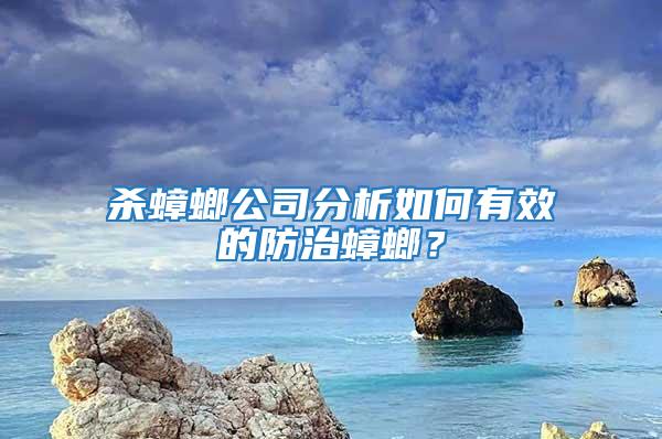 殺蟑螂公司分析如何有效的防治蟑螂？