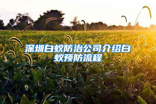 深圳白蟻防治公司介紹白蟻預(yù)防流程