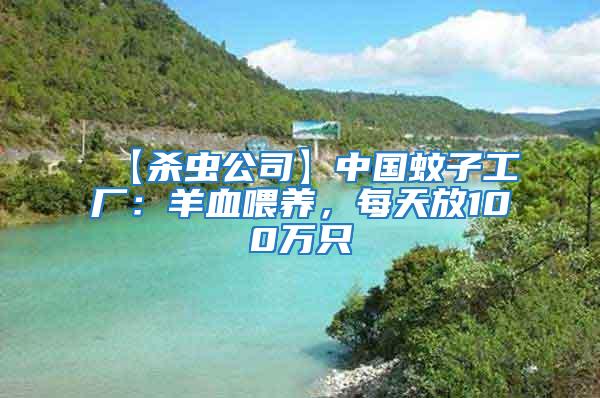 【殺蟲公司】中國蚊子工廠：羊血喂養(yǎng)，每天放100萬只