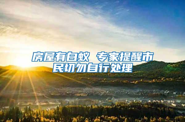 房屋有白蟻 專(zhuān)家提醒市民切勿自行處理