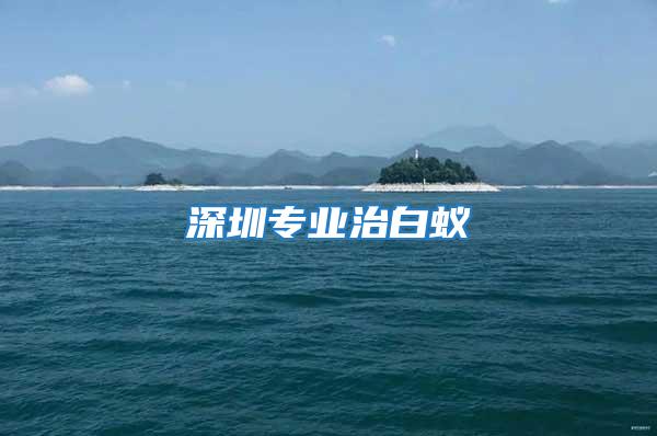 深圳專(zhuān)業(yè)治白蟻