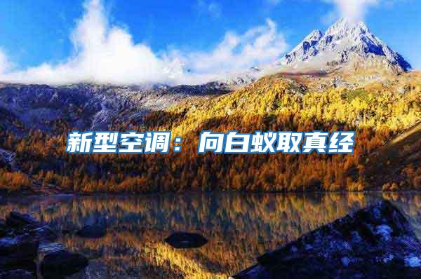 新型空調：向白蟻取真經(jīng)
