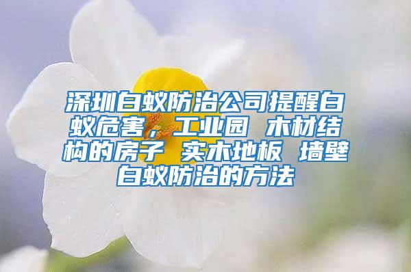 深圳白蟻防治公司提醒白蟻危害，工業(yè)園 木材結構的房子 實木地板 墻壁白蟻防治的方法