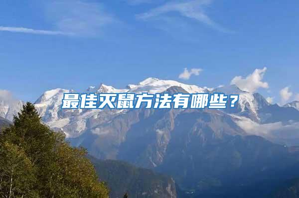 最佳滅鼠方法有哪些？