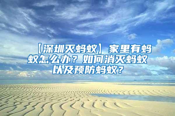 【深圳滅螞蟻】家里有螞蟻怎么辦？如何消滅螞蟻以及預防螞蟻？