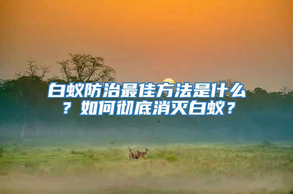 白蟻防治最佳方法是什么？如何徹底消滅白蟻？