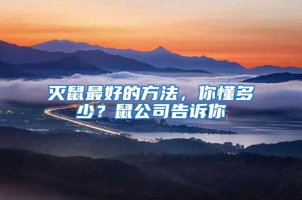 滅鼠最好的方法，你懂多少？鼠公司告訴你