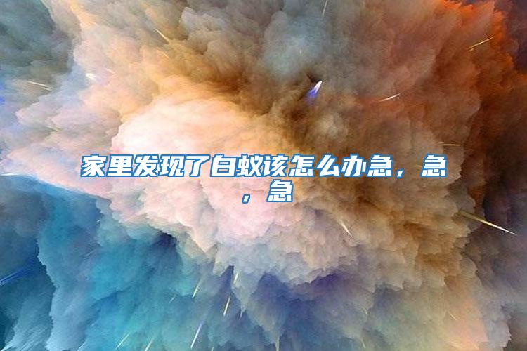 家里發現了白蟻該怎么辦急，急，急
