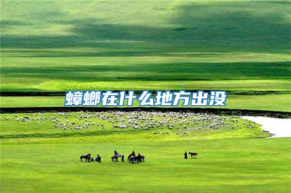 蟑螂在什么地方出沒(méi)