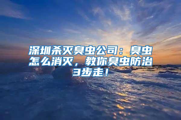 深圳殺滅臭蟲(chóng)公司：臭蟲(chóng)怎么消滅，教你臭蟲(chóng)防治3步走！