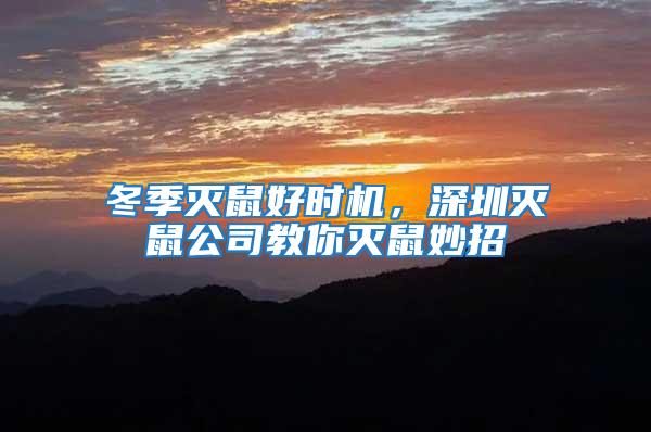 冬季滅鼠好時機，深圳滅鼠公司教你滅鼠妙招