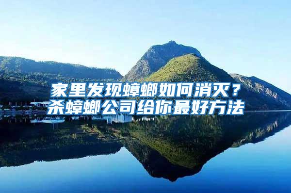 家里發(fā)現(xiàn)蟑螂如何消滅？殺蟑螂公司給你最好方法