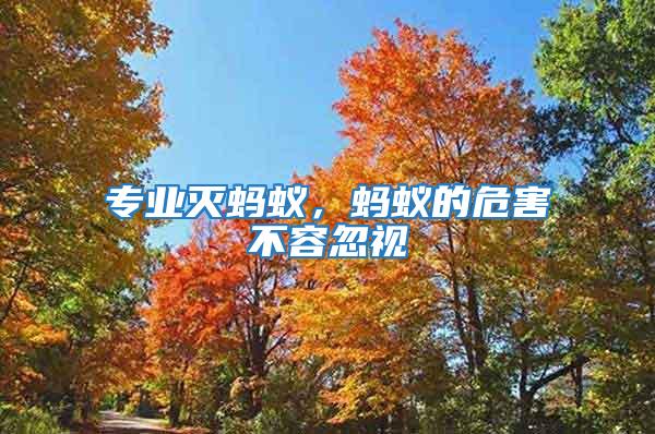 專業(yè)滅螞蟻，螞蟻的危害不容忽視