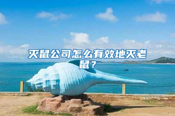 滅鼠公司怎么有效地滅老鼠？