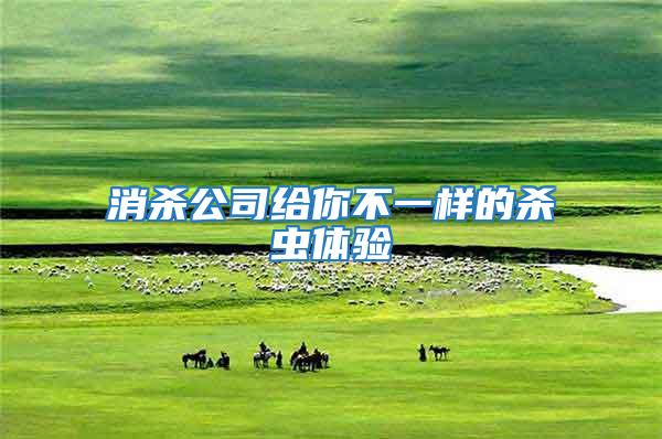 消殺公司給你不一樣的殺蟲體驗(yàn)