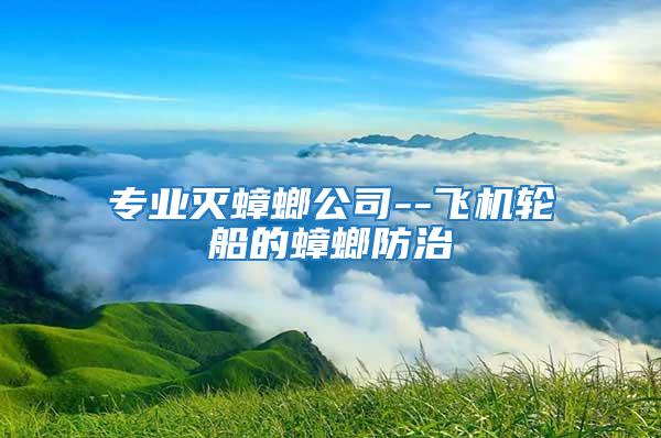 專業(yè)滅蟑螂公司--飛機輪船的蟑螂防治