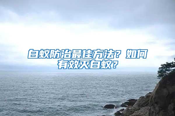 白蟻防治最佳方法？如何有效滅白蟻？