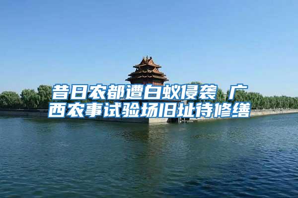 昔日農(nóng)都遭白蟻侵襲 廣西農(nóng)事試驗(yàn)場(chǎng)舊址待修繕