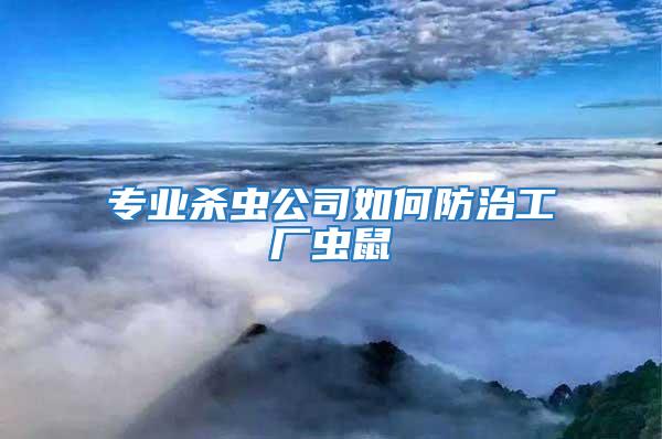 專業(yè)殺蟲(chóng)公司如何防治工廠蟲(chóng)鼠