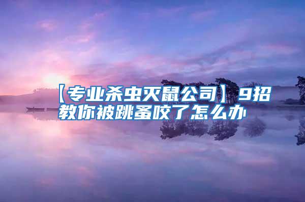 【專業(yè)殺蟲滅鼠公司】9招教你被跳蚤咬了怎么辦