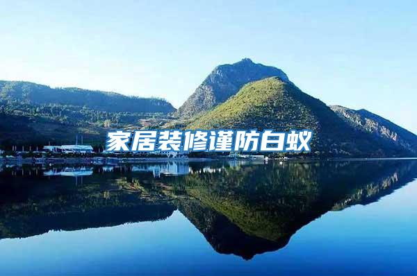 家居裝修謹(jǐn)防白蟻